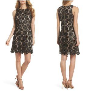 NWT ELIZA J Lace Overlay Cocktail Shift Dress
